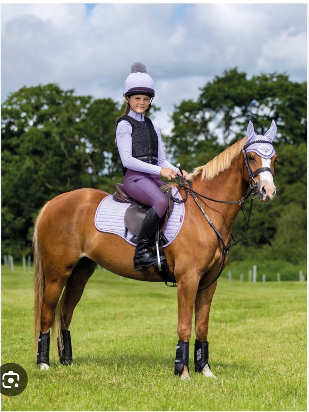 Lemieux Wisteria GP S/M Saddle Pad